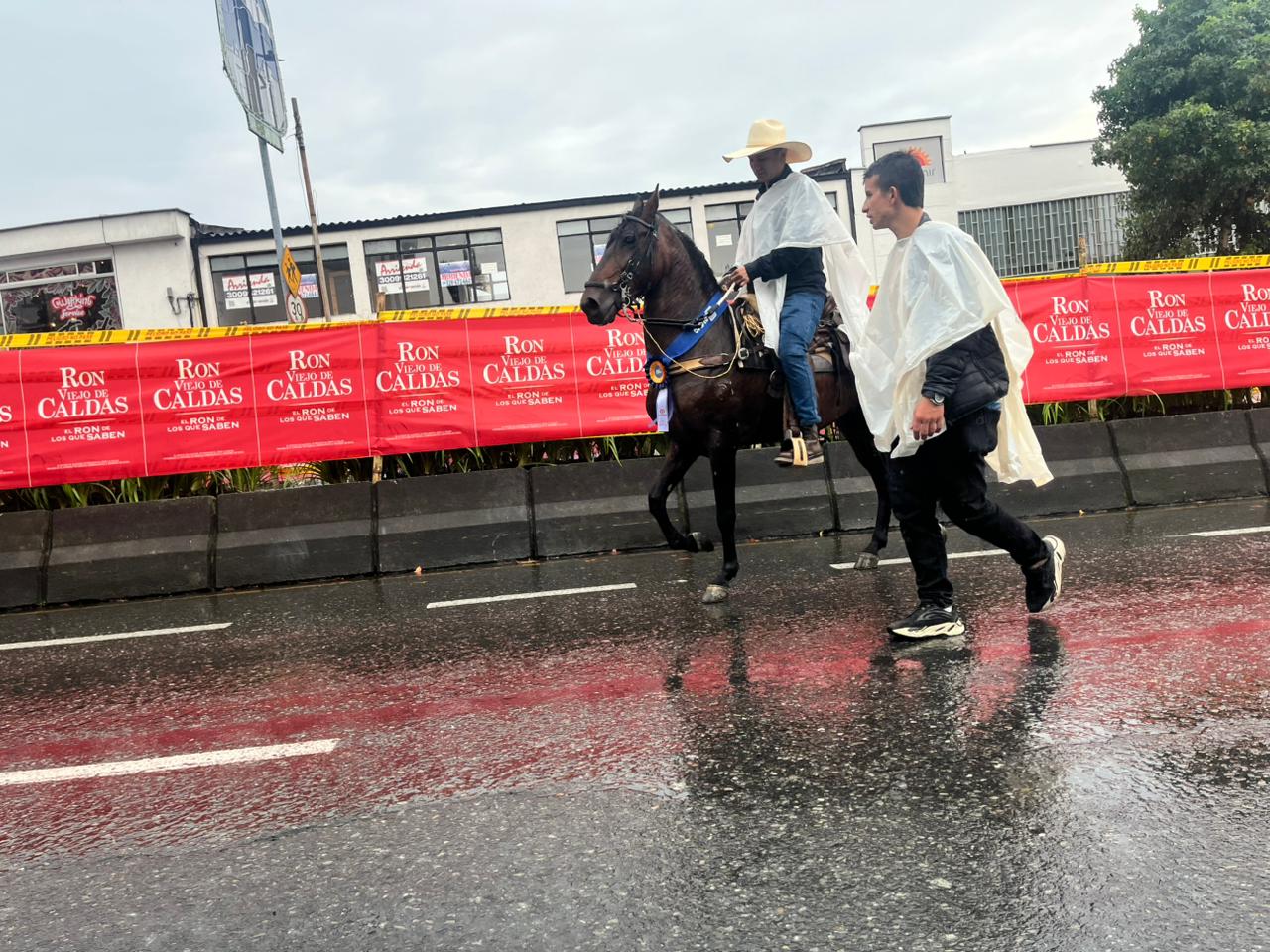 Imagen del Desfile a Caballo de Manizales, 3
