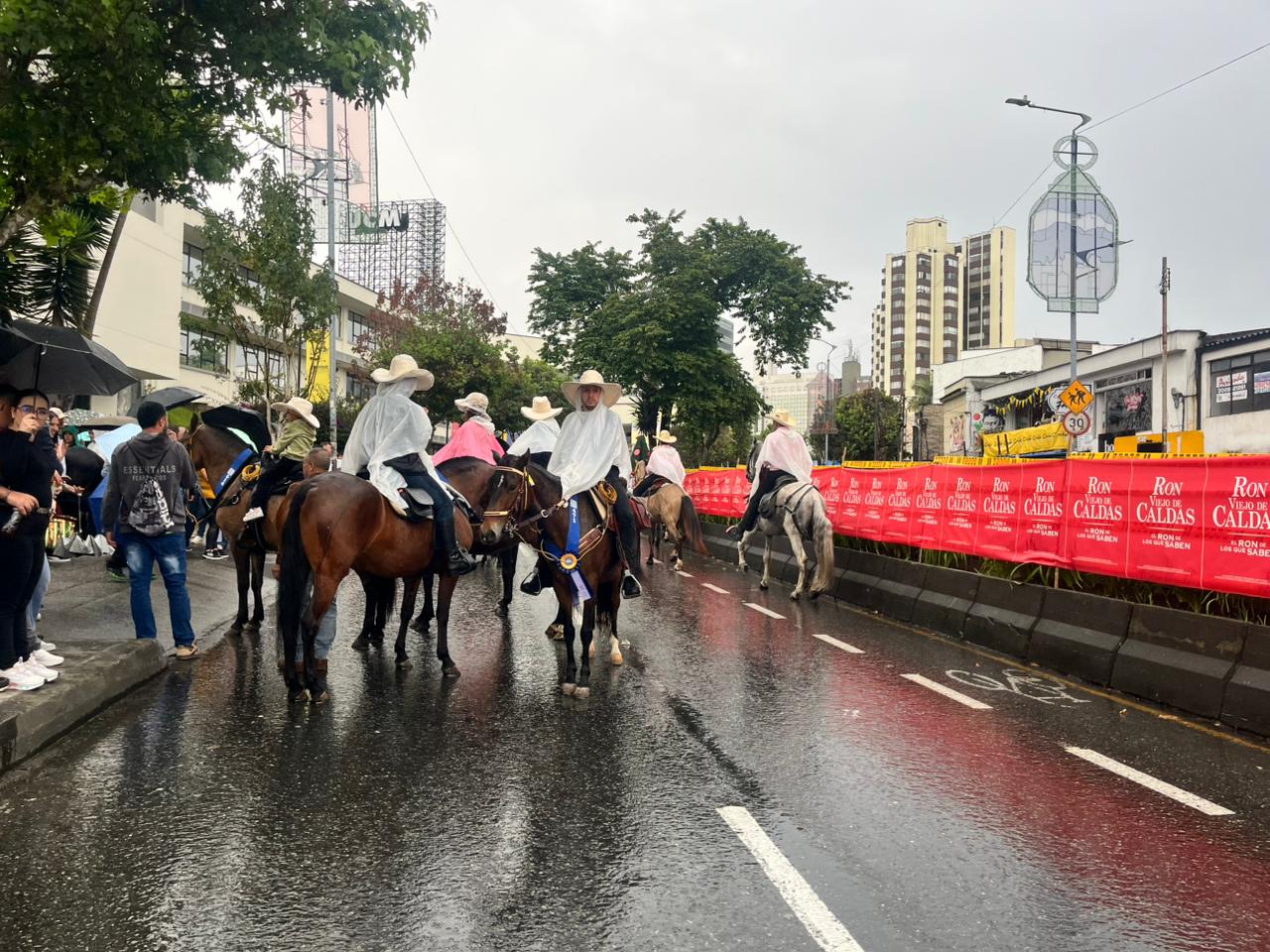 Imagen del Desfile a Caballo de Manizales, 7