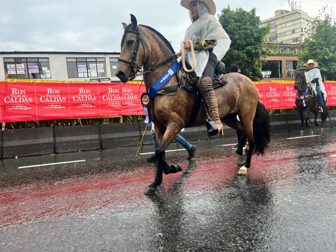 Imagen del Desfile a Caballo de Manizales, 10