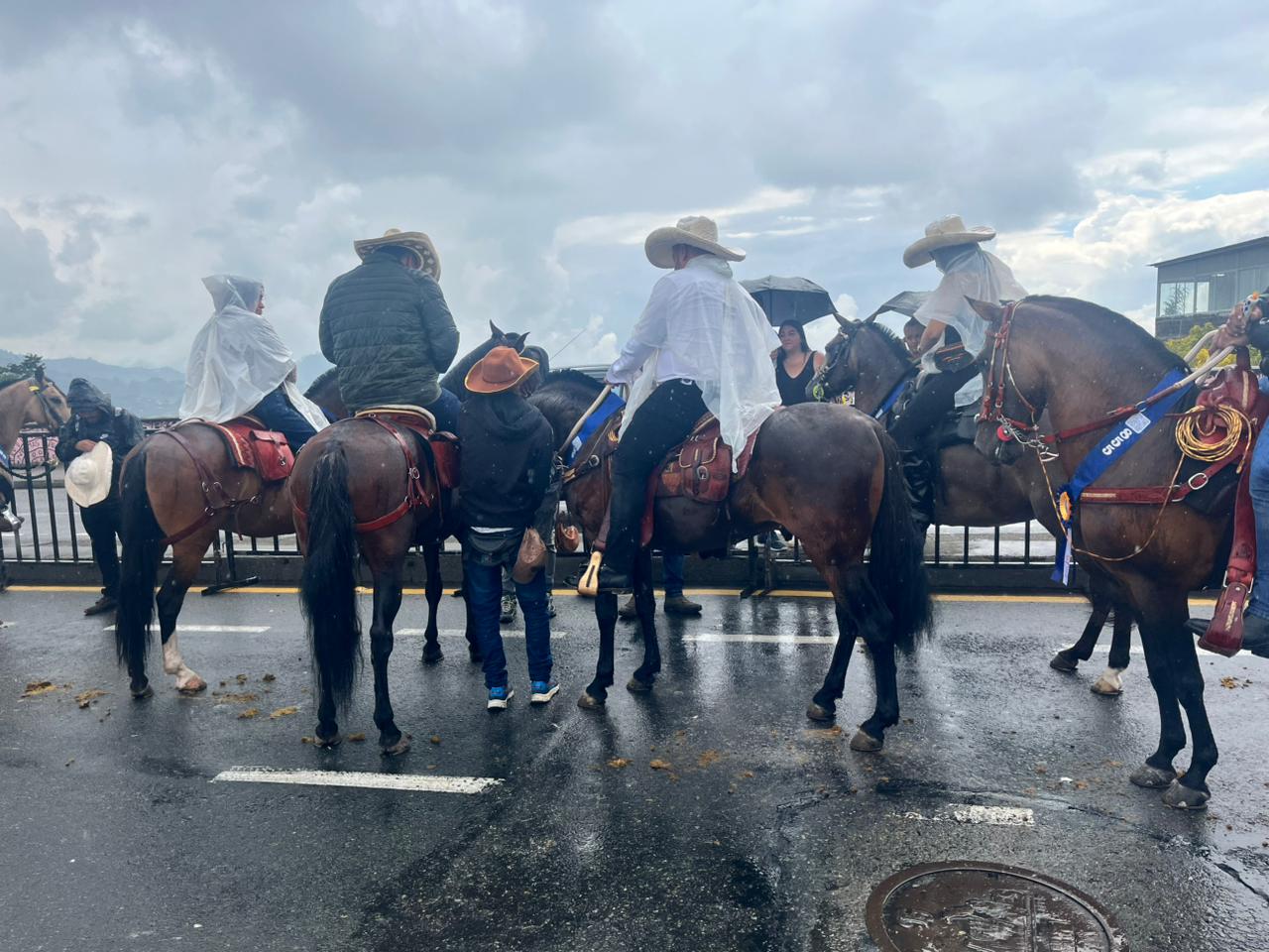 Imagen del Desfile a Caballo de Manizales, 11