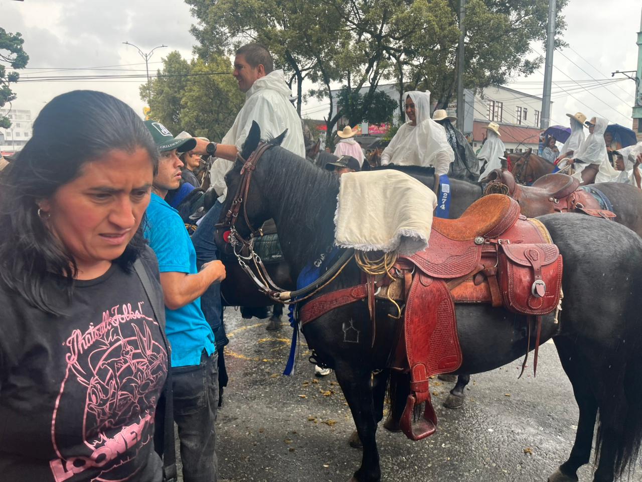 Imagen del Desfile a Caballo de Manizales, 12
