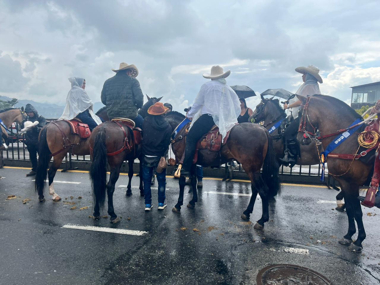 Imagen del Desfile a Caballo de Manizales, 17