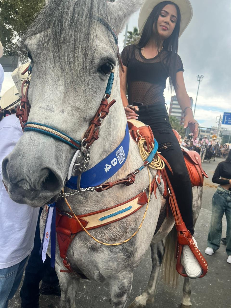 Imagen del Desfile a Caballo de Manizales, 20