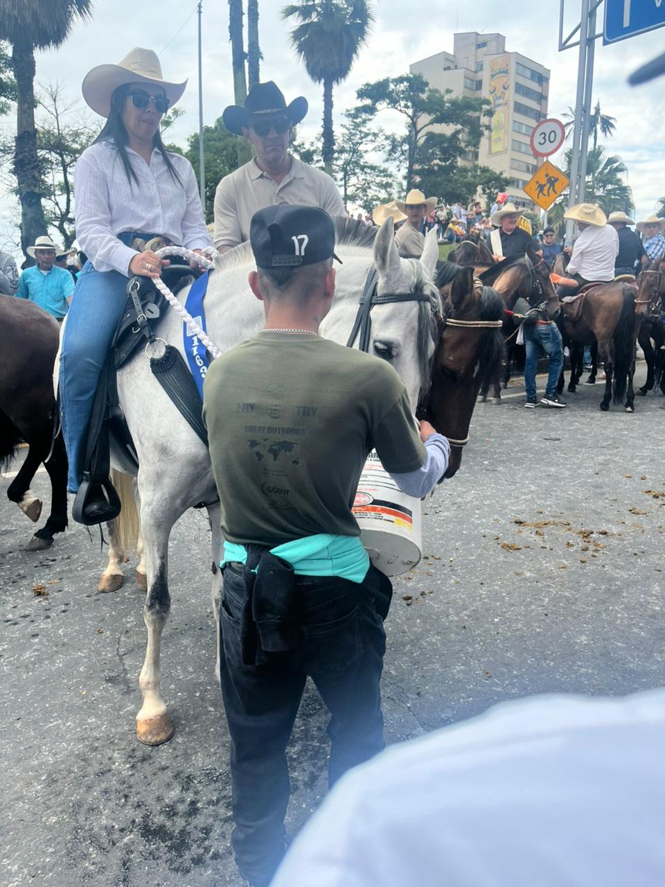 Imagen del Desfile a Caballo de Manizales, 27